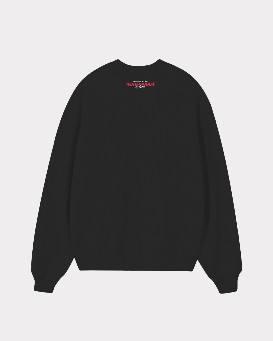 CREWNECK AIRPLANE